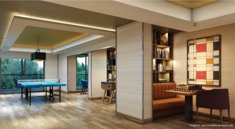 Indoor-Games-Room